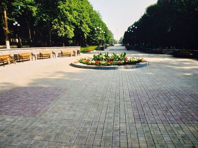 img 010